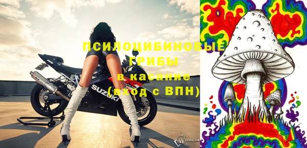 амф Инта