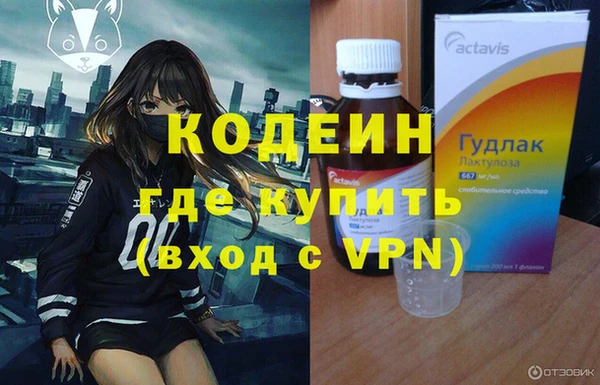 apvp Иннополис