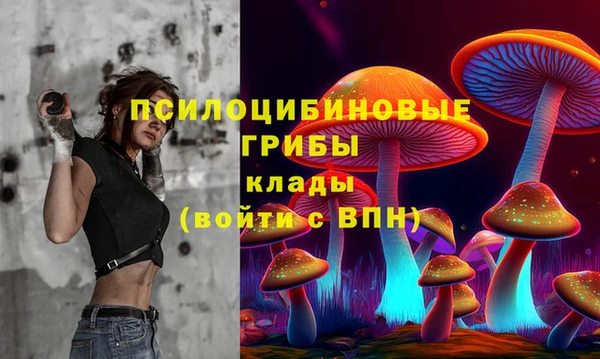 apvp Иннополис