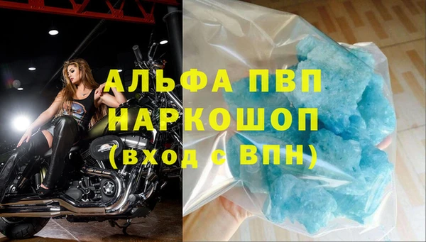 амф Инта