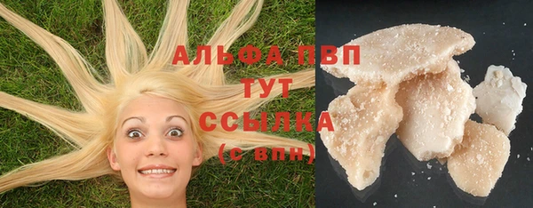 apvp Иннополис