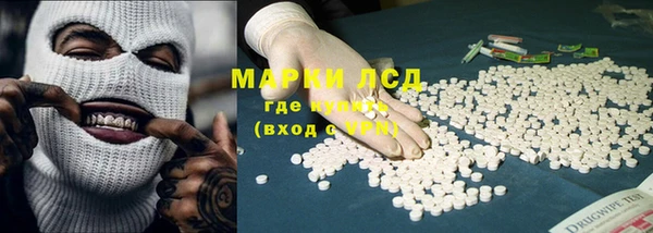 apvp Иннополис