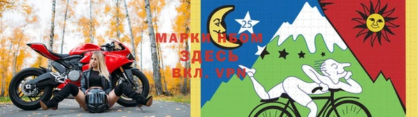 apvp Иннополис