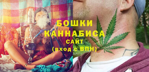 амф Инта