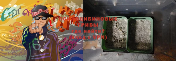 ПСИЛОЦИБИНОВЫЕ ГРИБЫ Зеленодольск