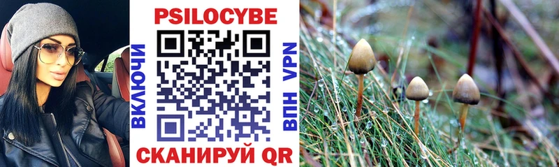 Псилоцибиновые грибы GOLDEN TEACHER  Купить  Находка 